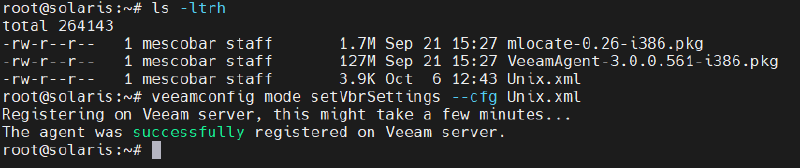 Veeam Agent for Solaris and Veeam 11a — screenshot 10