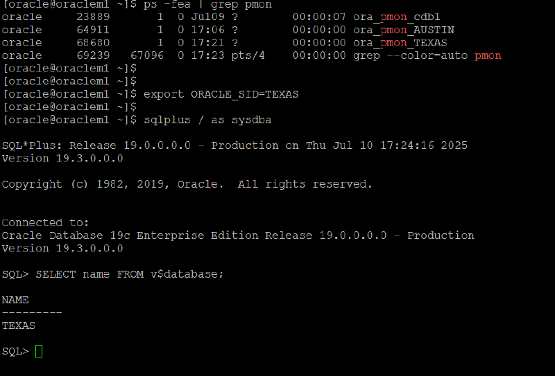 Veeam Explorer Oracle RMAN — screenshot 28