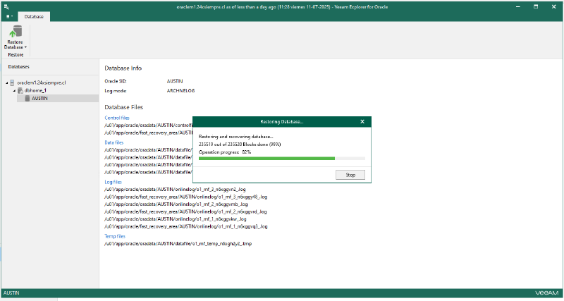 Veeam Explorer Oracle RMAN — screenshot 43