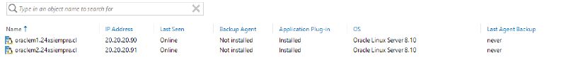 Veeam Explorer Oracle RMAN — screenshot 8