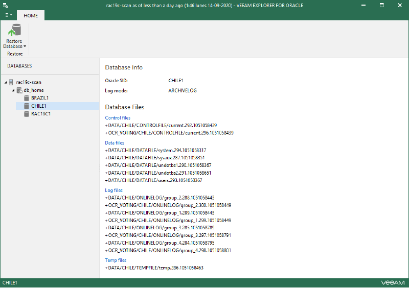 Veeam Oracle RMAN Plugin — screenshot 10