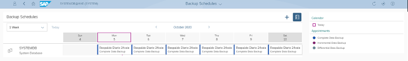 Veeam Plugin SAP HANA — screenshot 15
