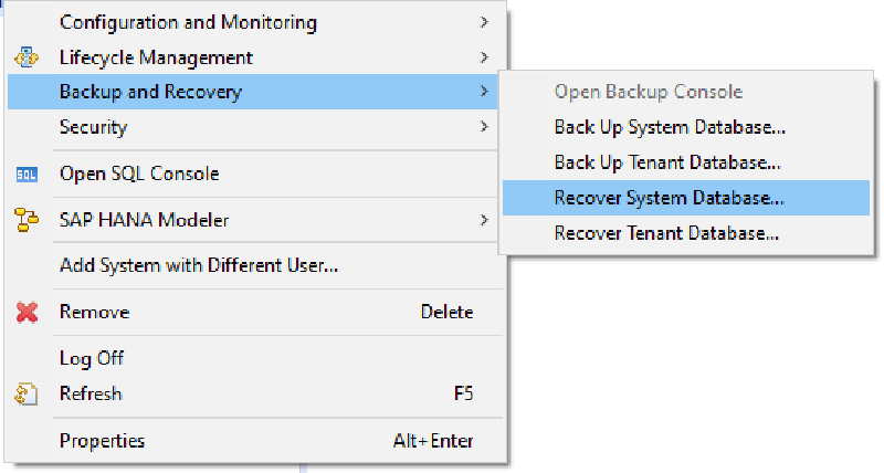 Veeam Plugin SAP HANA — screenshot 20