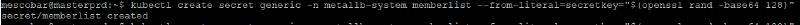 Instalar Cluster de Kubernetes con vSphere CSI — captura 11