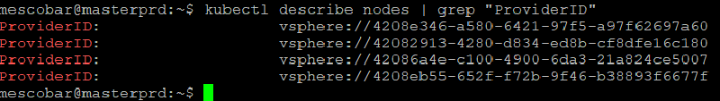 Instalar Cluster de Kubernetes con vSphere CSI — captura 14