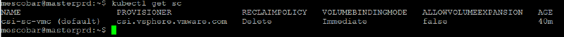 Instalar Cluster de Kubernetes con vSphere CSI — captura 19
