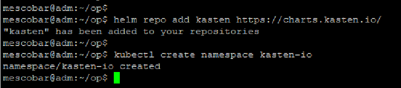 Red Hat OpenShift en vSphere con Kasten — captura 2