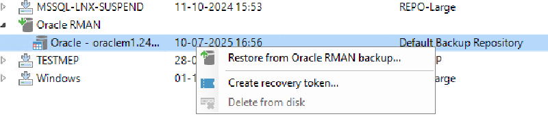 Veeam Explorer Oracle RMAN — captura 14