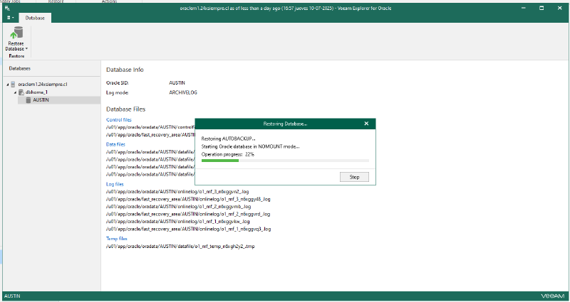 Veeam Explorer Oracle RMAN — captura 26