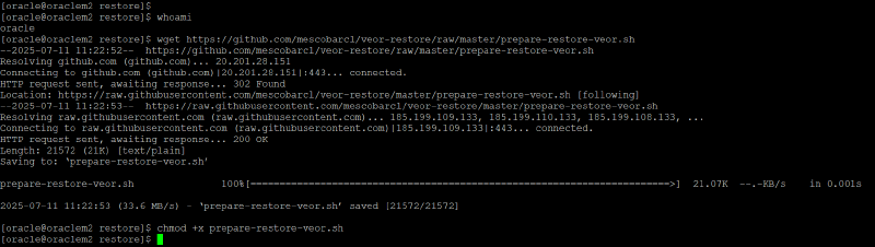 Veeam Explorer Oracle RMAN — captura 29