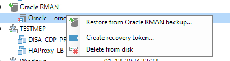 Veeam Explorer Oracle RMAN — captura 32