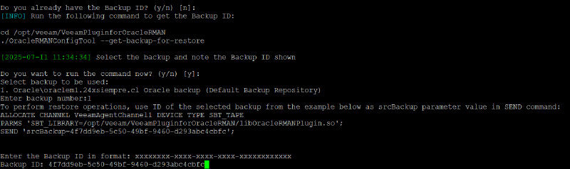 Veeam Explorer Oracle RMAN — captura 35