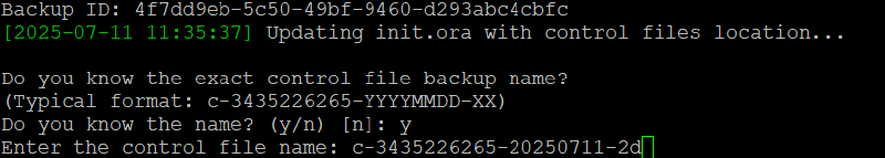 Veeam Explorer Oracle RMAN — captura 38