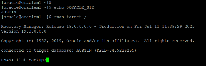 Veeam Explorer Oracle RMAN — captura 36
