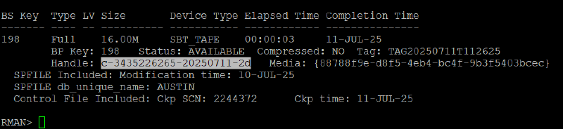 Veeam Explorer Oracle RMAN — captura 37