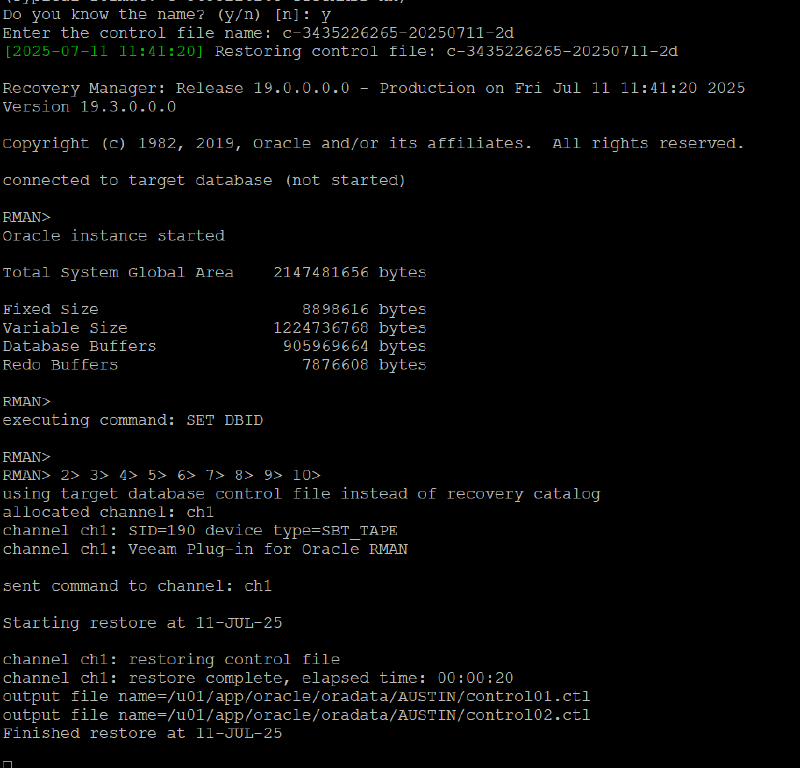 Veeam Explorer Oracle RMAN — captura 39