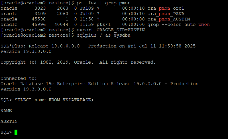 Veeam Explorer Oracle RMAN — captura 45