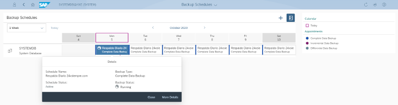 Veeam Plugin SAP HANA — captura 16