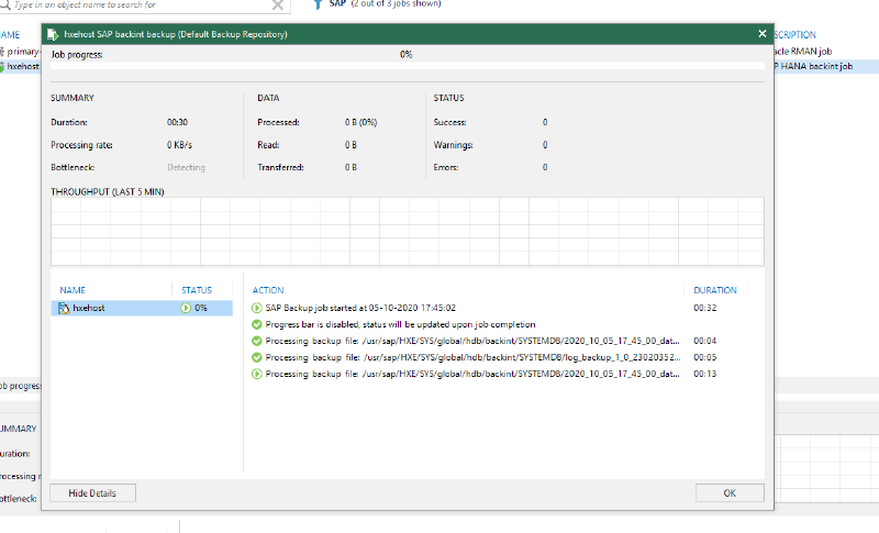 Veeam Plugin SAP HANA — captura 17